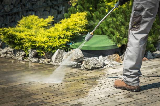 Best Solar Panel Cleaning  in Canton, SD